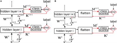 Deep Supervised Learning Using Local Errors